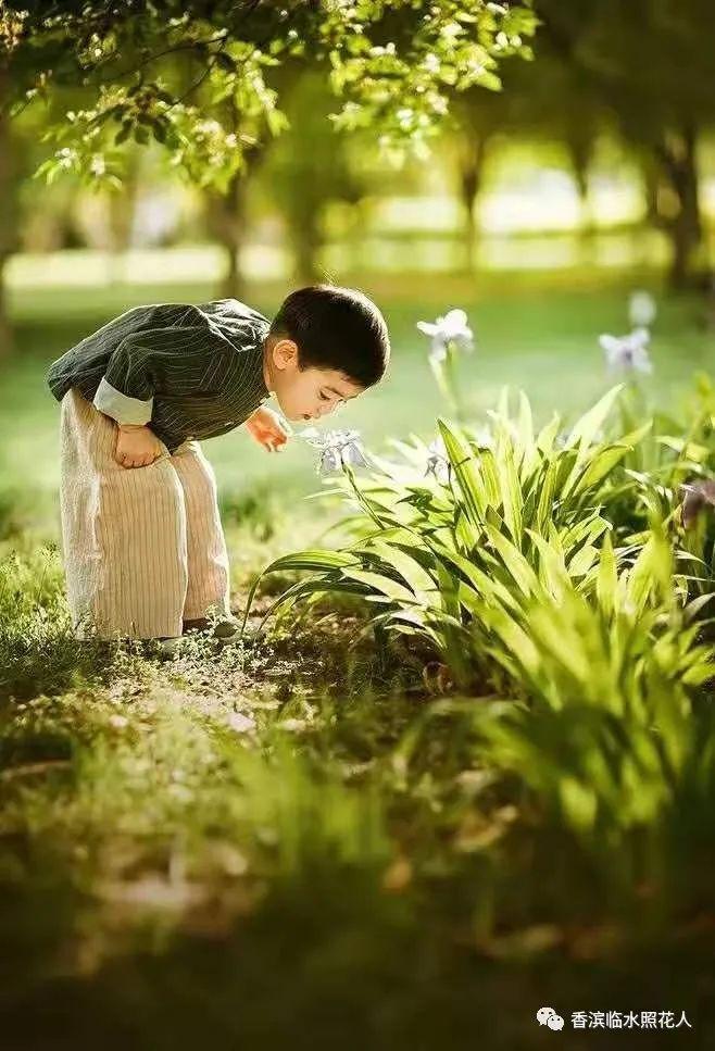 如何撰写一篇引人入胜的植物作文