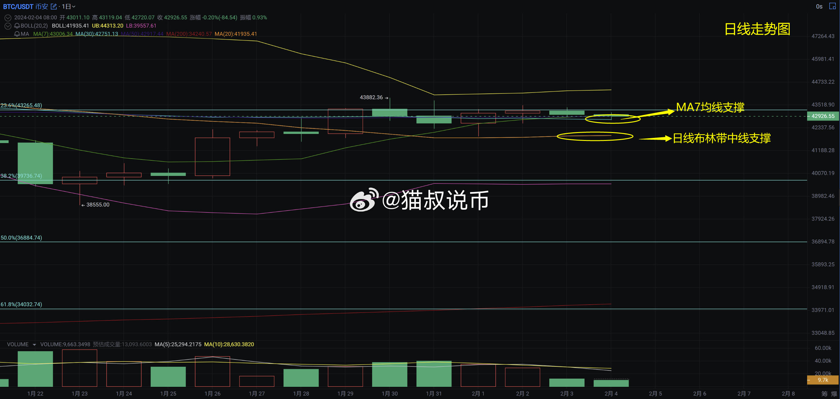 大三巴最准的一肖一码,深入解析数据设计_W28.138