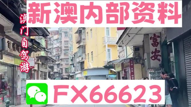 新澳精准资料免费提供网站,时代资料解释落实_5DM29.575