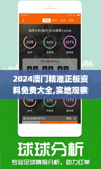 2024年新澳门免费资料,实地分析数据设计_投资版20.325