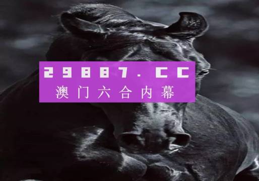 用我们 第6页