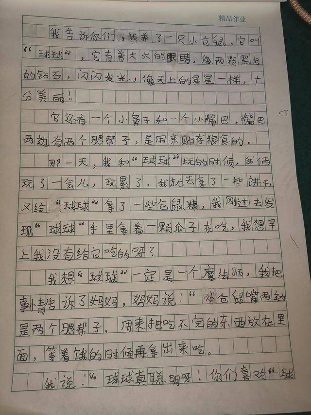 仿写背影的作文，远去的背影，思念之情绵延不绝