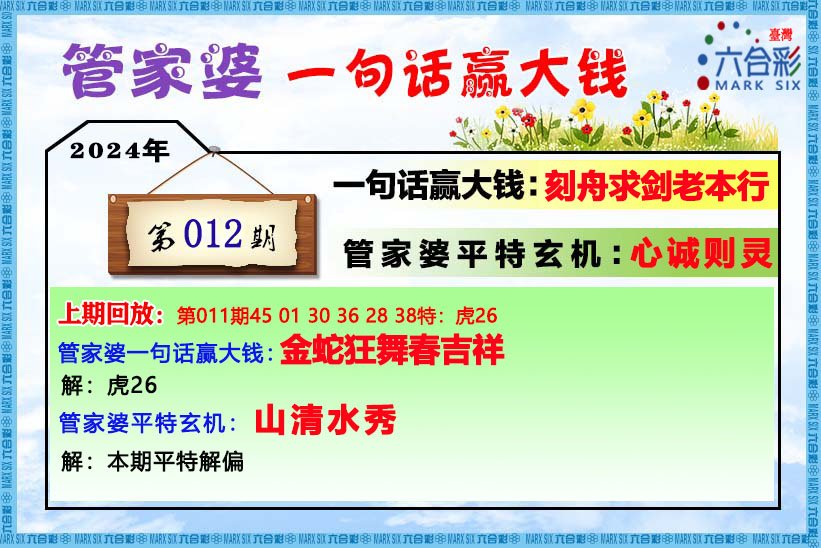 管家婆一码中一肖2024,高效策略设计_精装版25.229