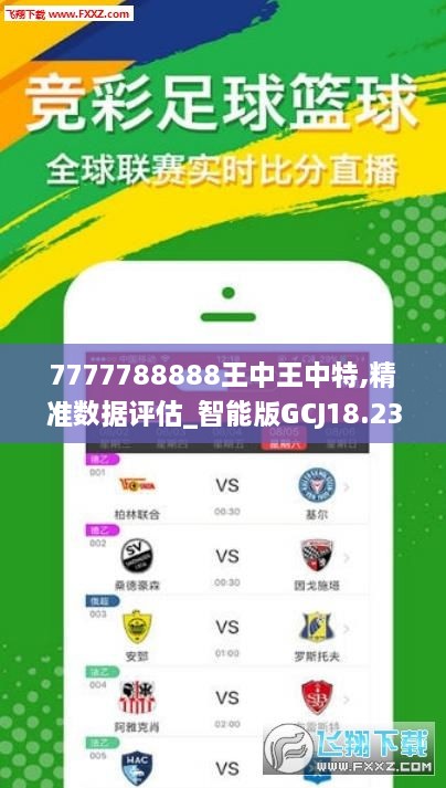 7777788888王中王中特,实践性策略实施_户外版2.642