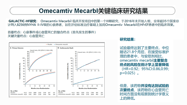 2024新澳精准免费资料,安全性策略评估_战略版27.530