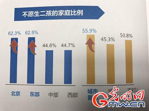 澳门一肖一码一必中一肖雷锋,全面实施数据策略_DP37.997