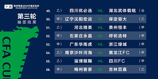 2024新澳资料免费大全一肖,深入解析应用数据_Mixed84.58