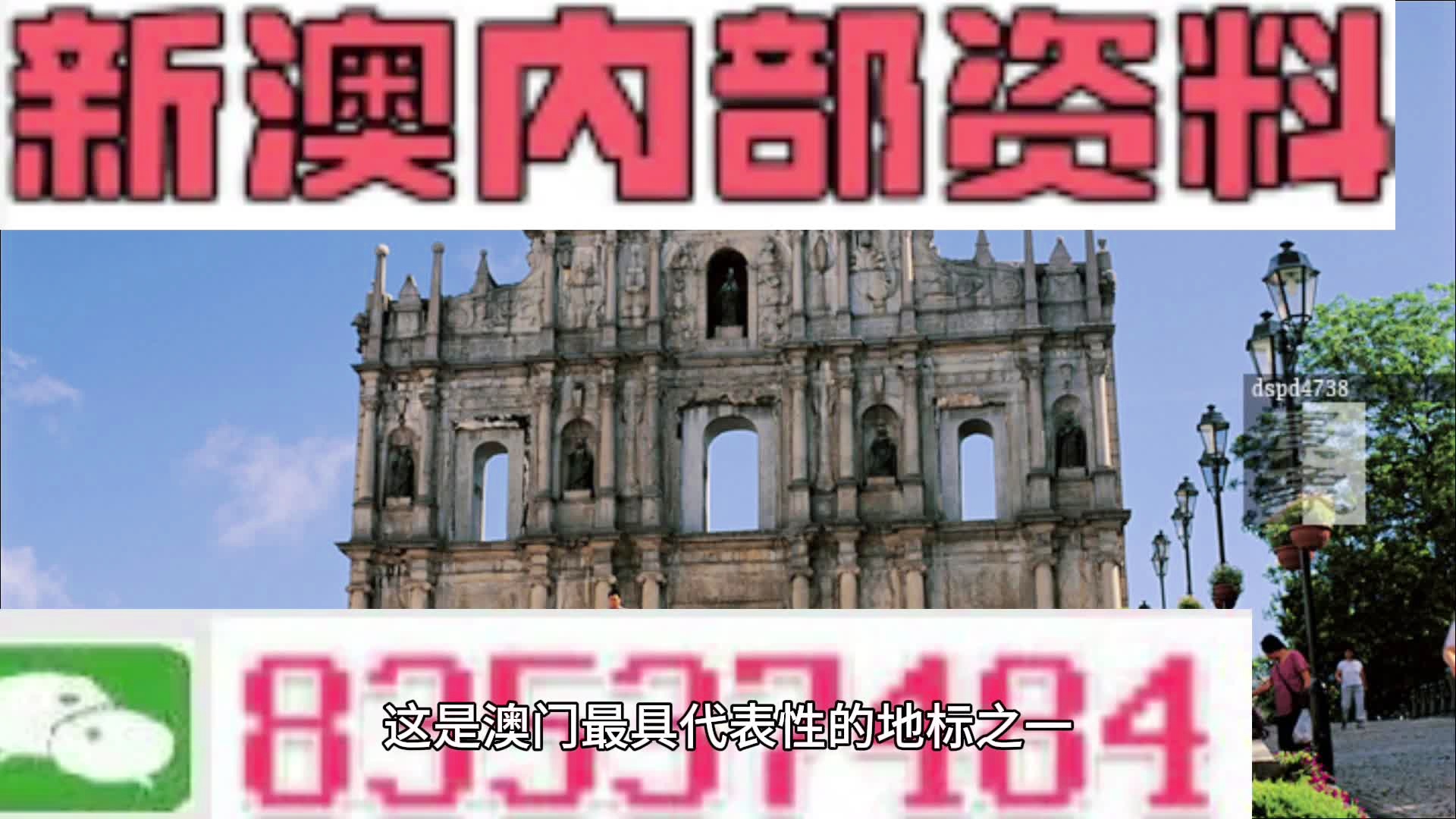 2004澳门正板资料,正确解答落实_PalmOS66.196