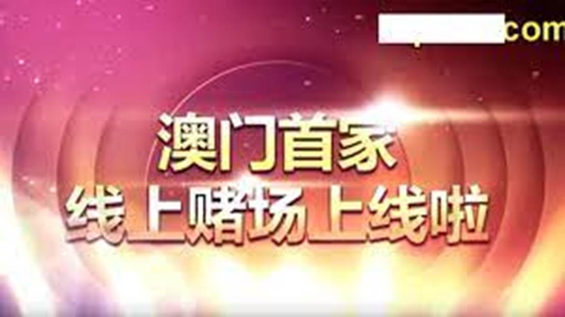 2004澳门天天开好彩大全,社会责任执行_S27.69