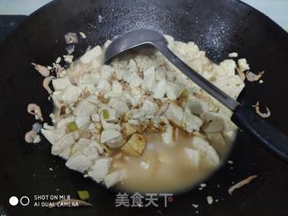 家常炖豆腐烹饪指南，做法大全