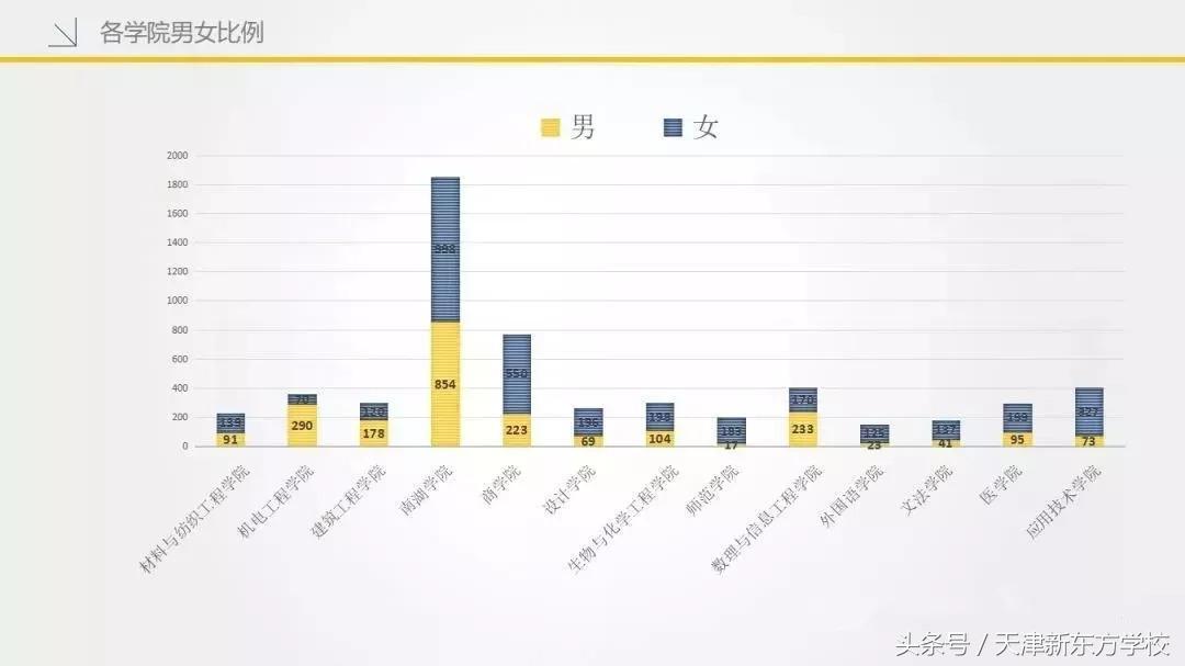 南湖学院专业深度解读