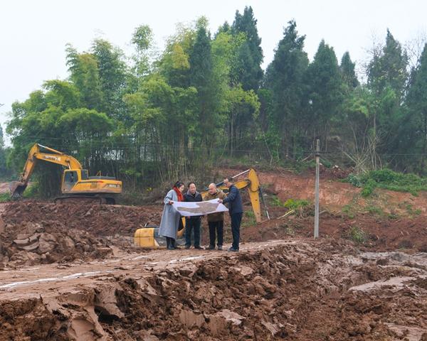 河南高速公路招投标，公平透明与高效协同并进之路