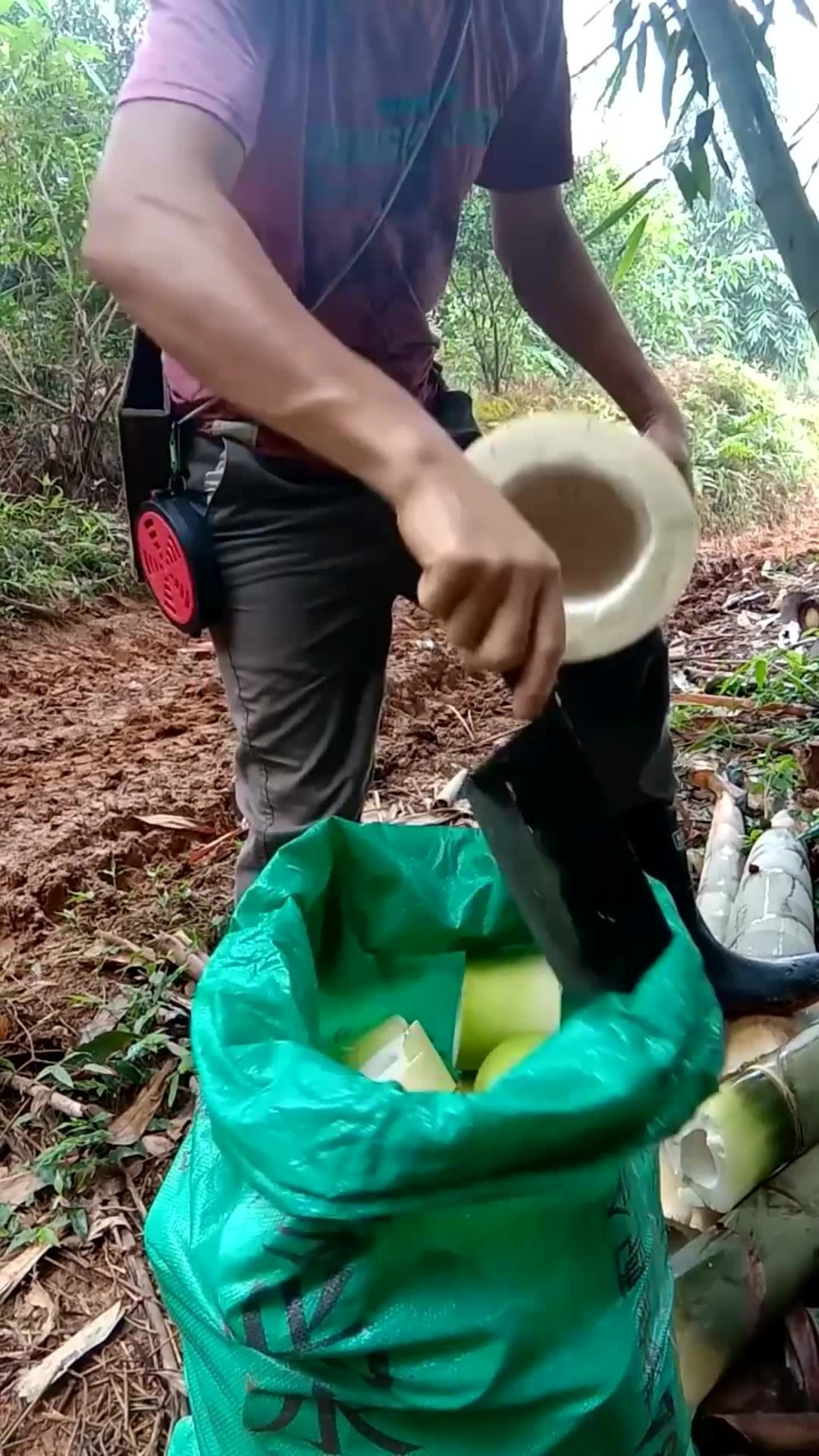 竹笋料理指南，从入门到精通的竹笋切法与料理技巧图解