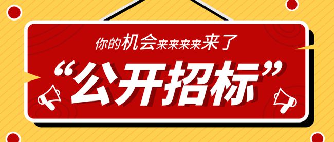 凉山州招投标公司，推动地方经济发展的核心驱动力