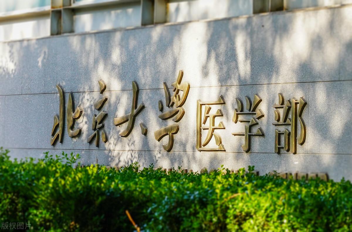 北京大学研究生院专业深度解析概览