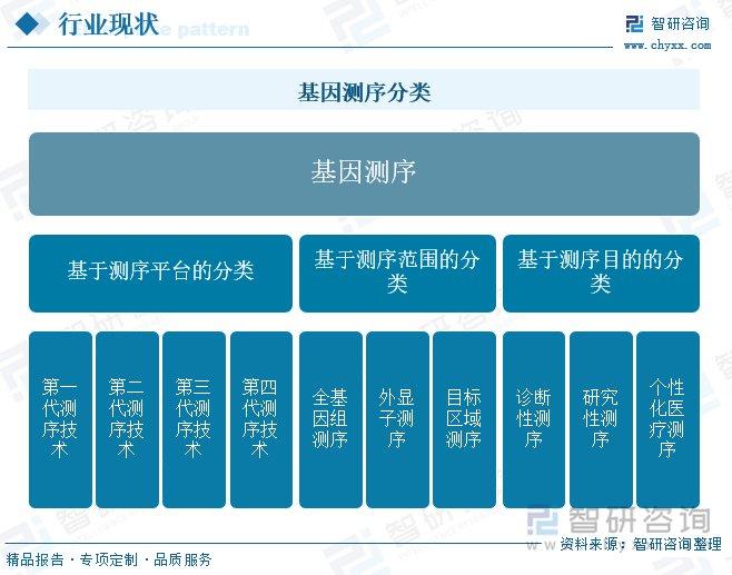 最新引进技术的力量及前景展望