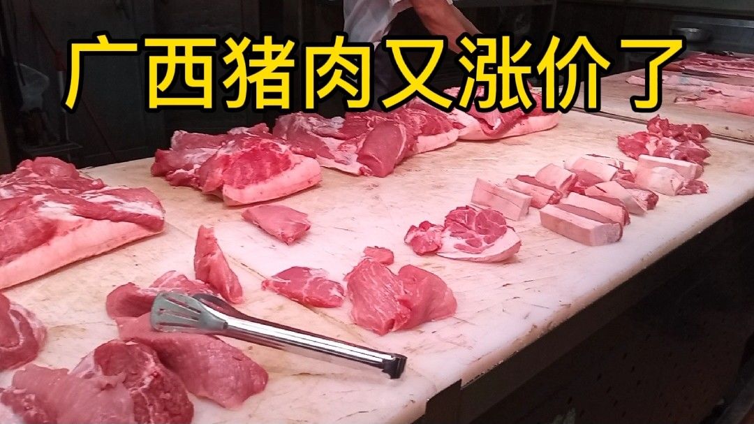 广西猪肉最新价格动态报告，市场走势分析