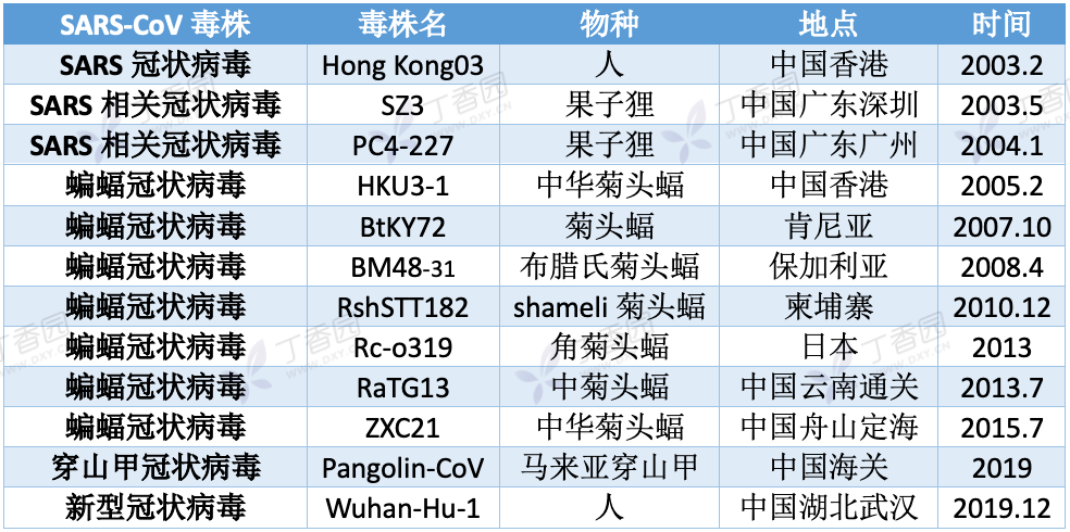 新冠源头最新揭秘，揭开病毒起源的神秘面纱