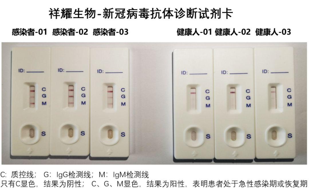 上海新冠疫情阳性最新情况分析报告