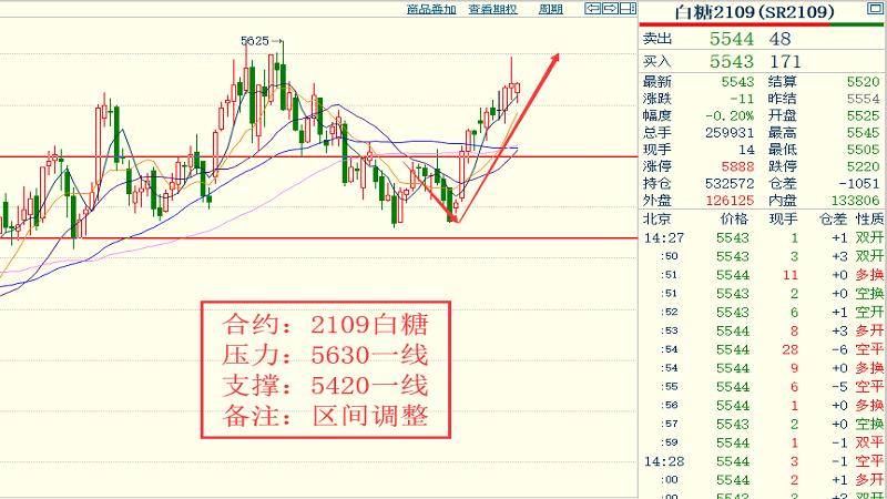 2024年香港今晚特马，综合解答解释落实_7n30.40.37