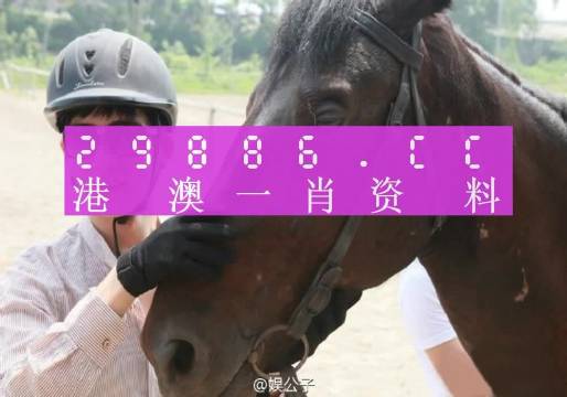 澳门必中一肖一码，统计解答解释落实_d082.66.40