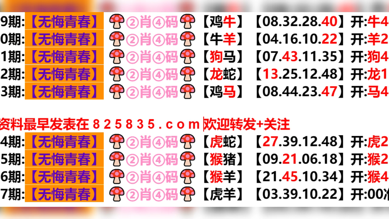 2024年新奥门天天开彩免费资料，构建解答解释落实_xn74.31.62