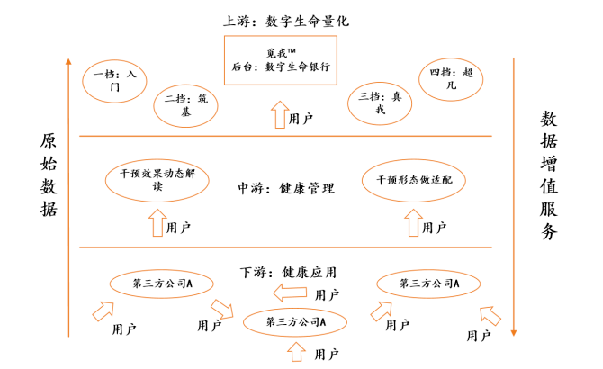 滴水不漏的动物指什么生肖，精准解答解释落实_fb28.32.16