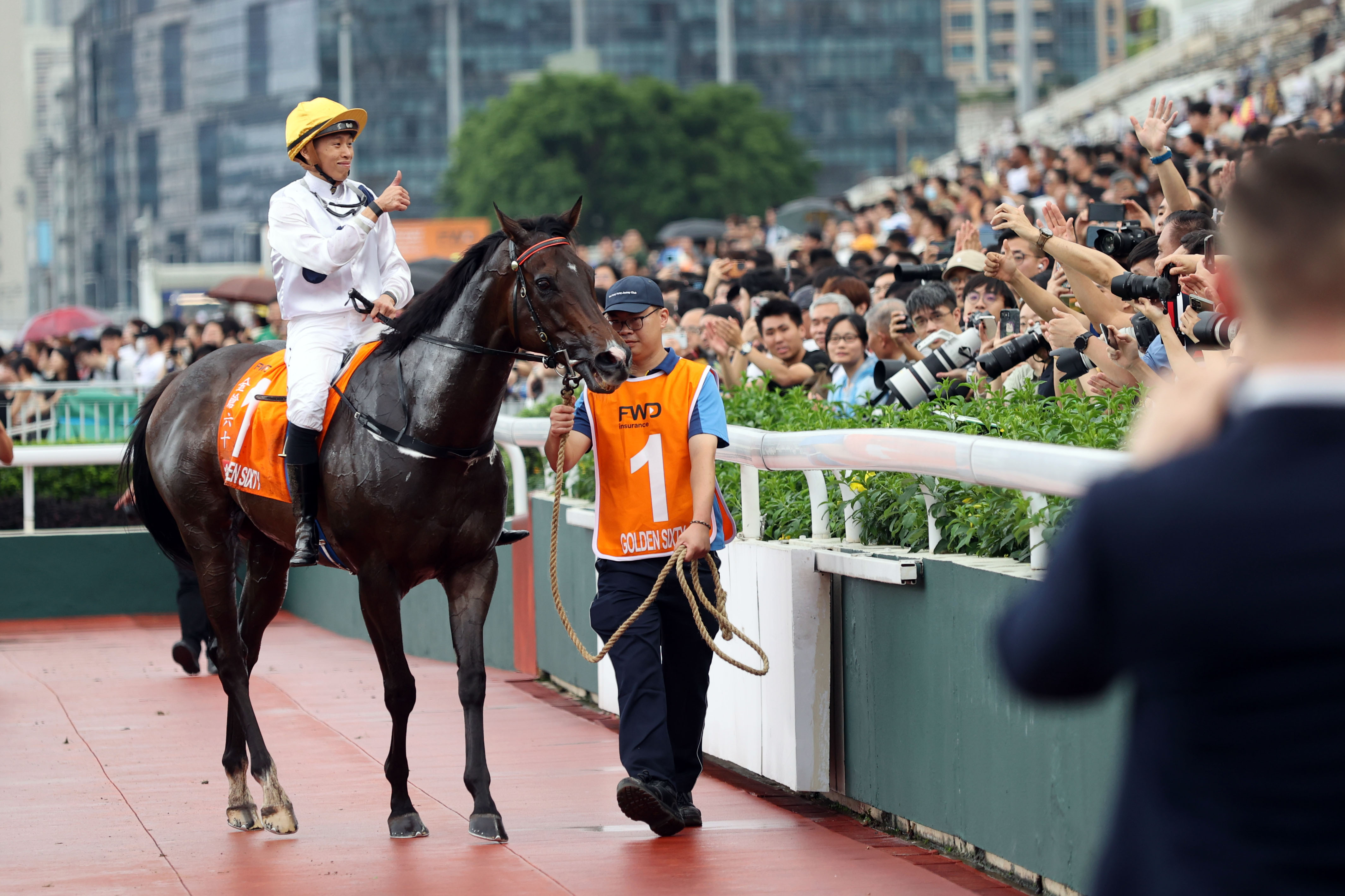 2024香港赛马全年免费资料，时代解答解释落实_5k28.01.23