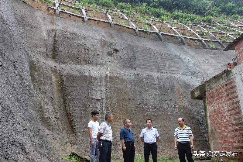 鹦鹉台风最新路径动态，影响分析与应对指南