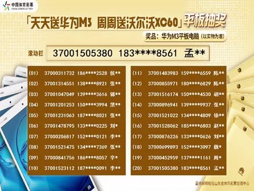 2024天天彩正版资料大全，精准解答解释落实_nv547.88.99