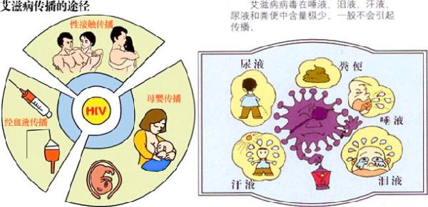 盖国最新疾病探索及应对策略