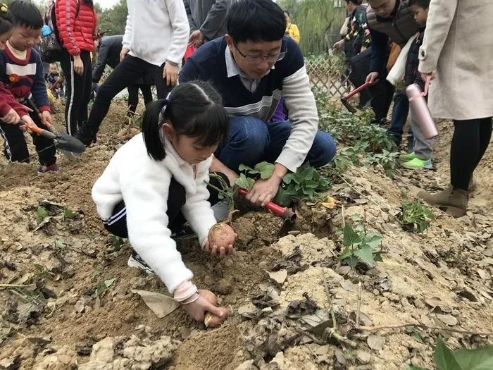 寻觅蜜最新版，独特体验之旅