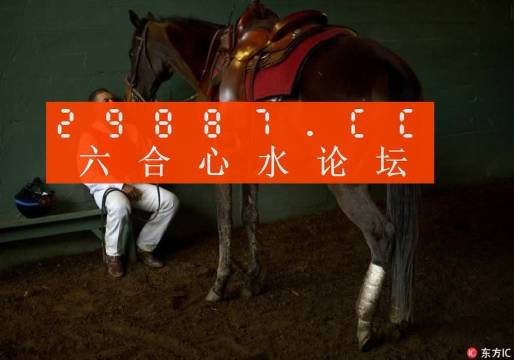 澳门一肖一码一特一中云骑士，定量解答解释落实_cx60.14.28