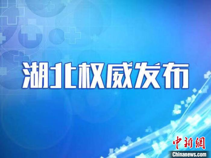 疫情信息发布平台，构建信息透明与公众信任的桥梁