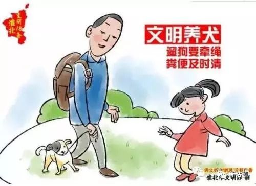 文明养犬最新动态，构建和谐社区，文明养犬引领风尚