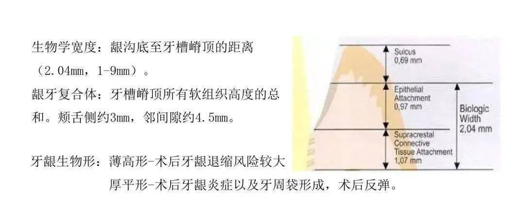 全球视角下的冠状病毒最新研究与进展概况