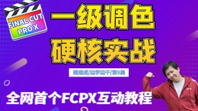 2024年管家婆的马资料55期，综合解答解释落实_ryo76.14.15