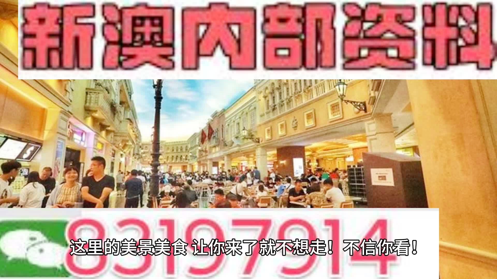 新澳门王中王资料公开，前沿解答解释落实_e602.76.81