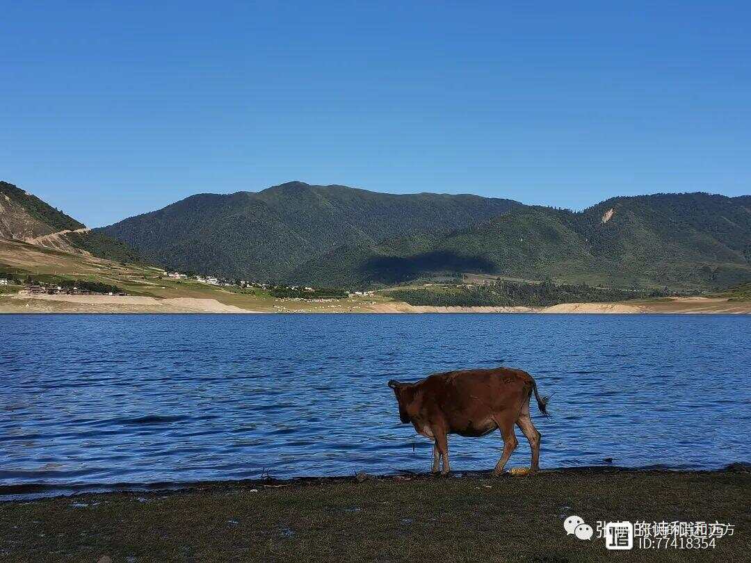 冶勒湖最新动态及魅力展现风采