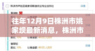 株洲姚家坝地区，城市发展的最新动态与未来展望