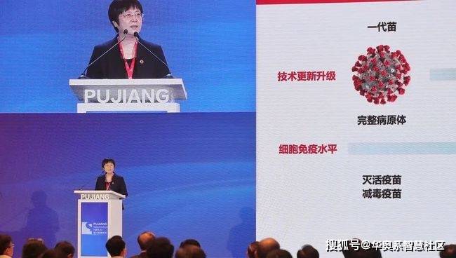 全球共同应对疫情挑战，最新抗疫词汇解析