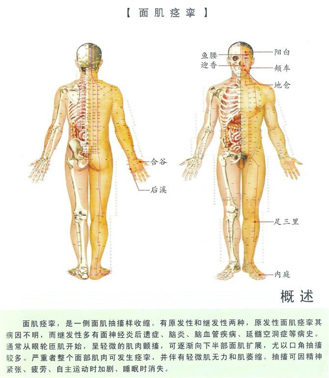 中医经络疗法新时代，探索健康奥秘的钥匙